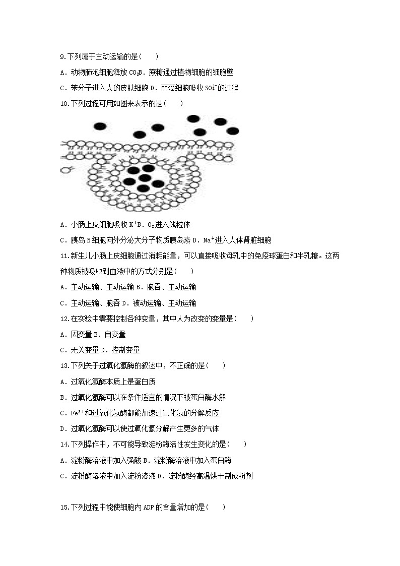 广东省湛江市2021-2022学年高一上学期期末考试生物无答案03