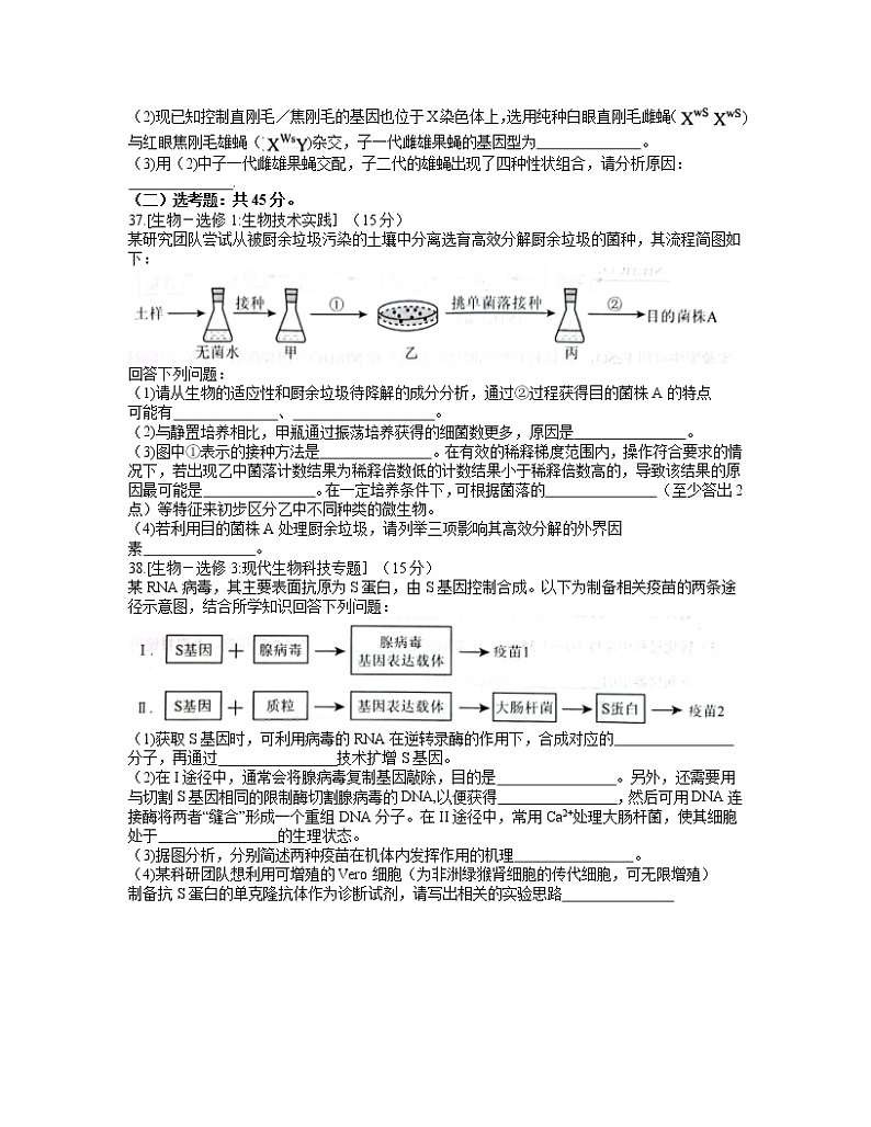 2022年贵州省贵阳市2022届高三适应性考试一（一模）生物试题含答案03