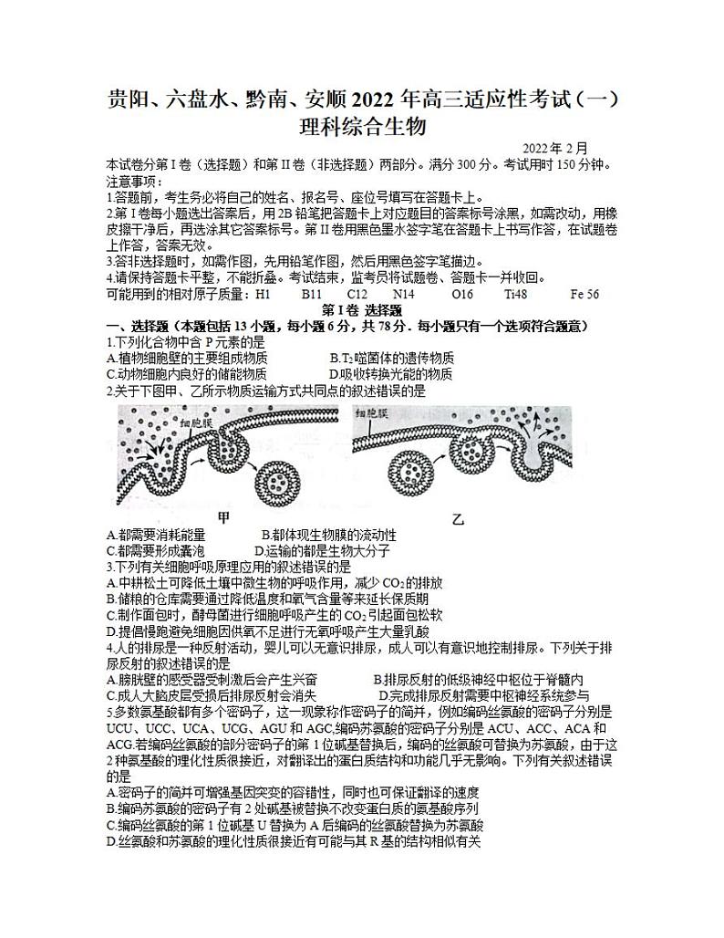 2022年贵州省贵阳、六盘水、黔南、安顺2022届高三适应性考试一（一模）生物试题含答案01