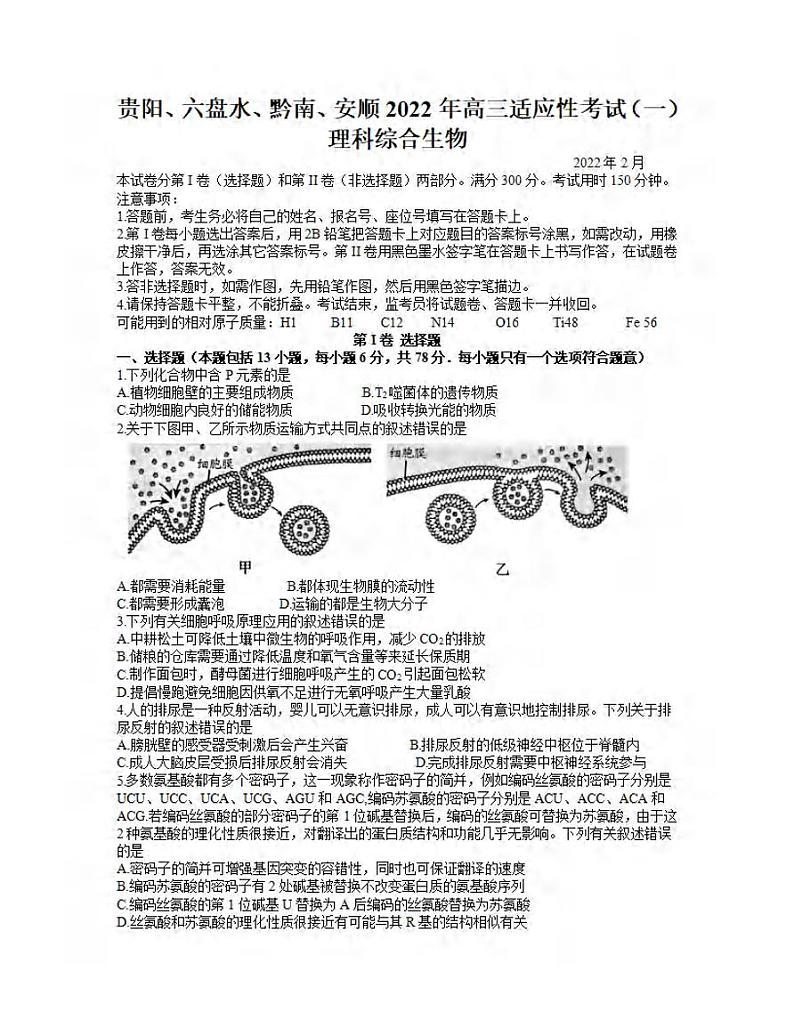 2022年贵州省贵阳、六盘水、黔南、安顺2022届高三适应性考试一（一模）生物试题含答案01