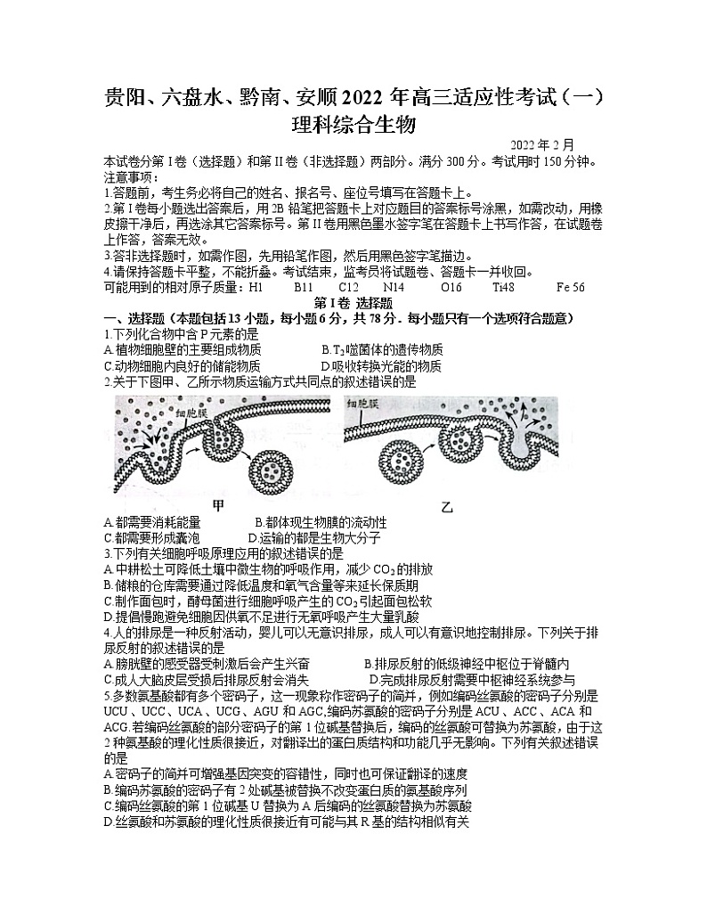 2022年贵州省贵阳、六盘水、黔南、安顺2022届高三适应性考试一（一模）生物试题含答案01