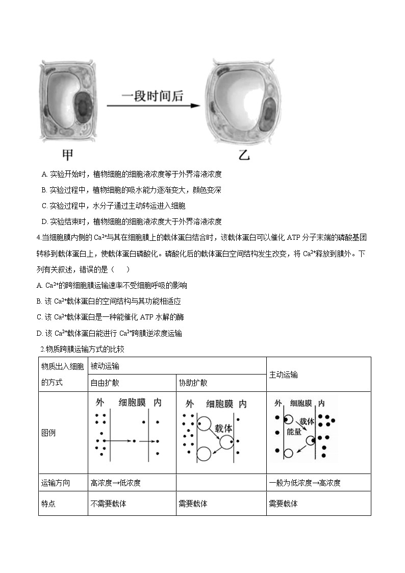 第2.3课 物质进出细胞的运输方式（原卷版）-2021-2022学年高一生物课后培优练（苏教版2019必修1）第2页