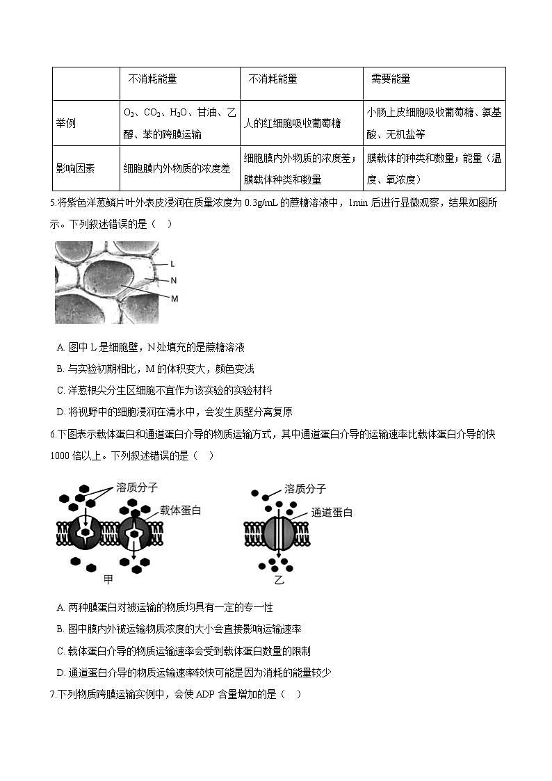 第2.3课 物质进出细胞的运输方式（原卷版）-2021-2022学年高一生物课后培优练（苏教版2019必修1）第3页