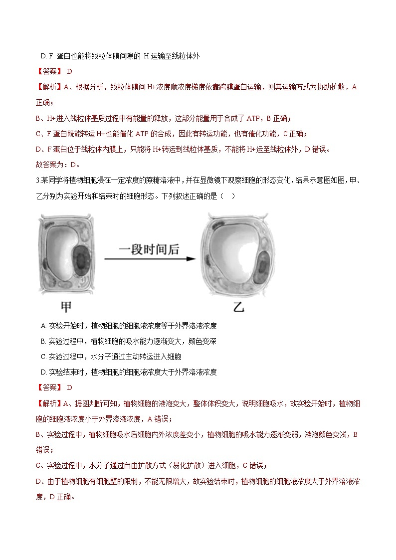 第2.3课 物质进出细胞的运输方式（解析版）-2021-2022学年高一生物课后培优练（苏教版2019必修1）第2页