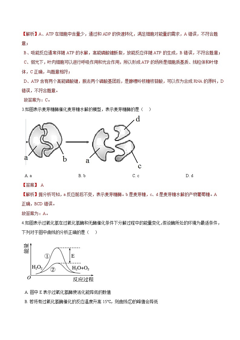 第3.1课 生命活动需要酶和能源物质-2021-2022学年高一生物课后培优练（苏教版2019必修1）02