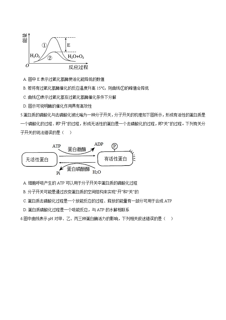 第3.1课 生命活动需要酶和能源物质-2021-2022学年高一生物课后培优练（苏教版2019必修1）02