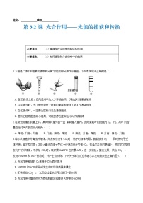 高中生物第二节 光合作用——光能的捕获和转换当堂达标检测题