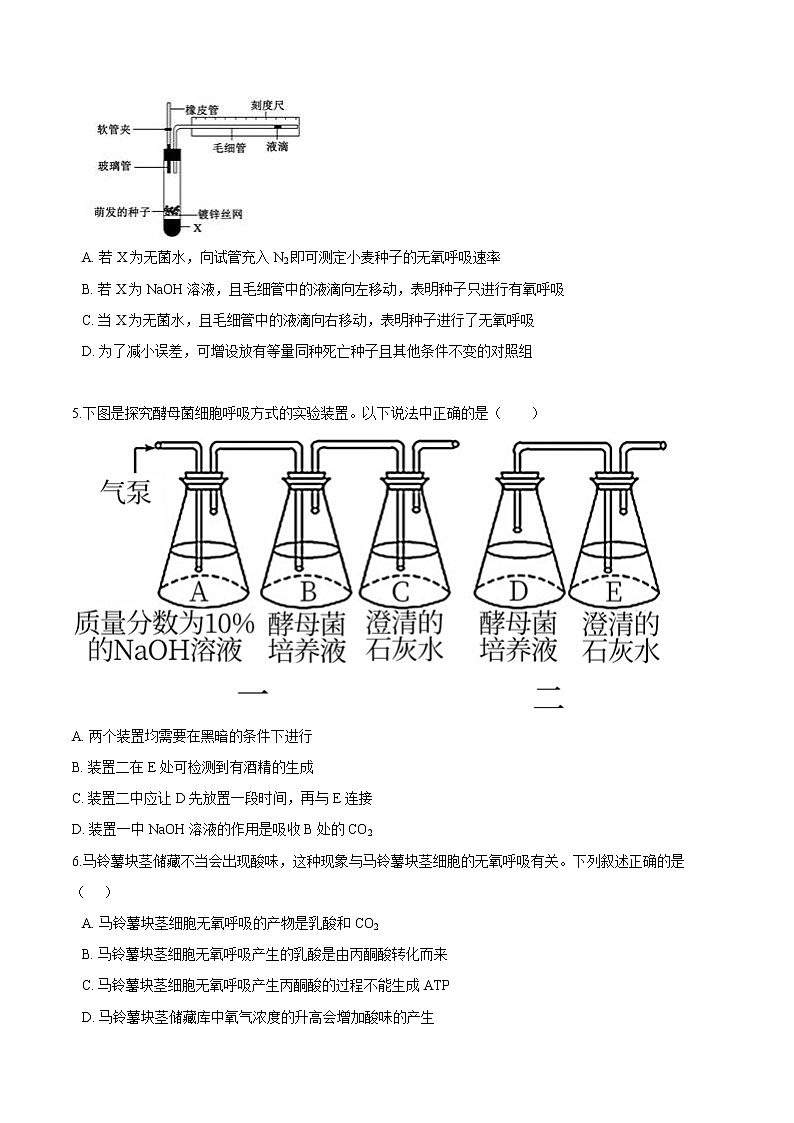 第3.3课 细胞呼吸——能量的转换和利用-2021-2022学年高一生物课后培优练（苏教版2019必修1）02
