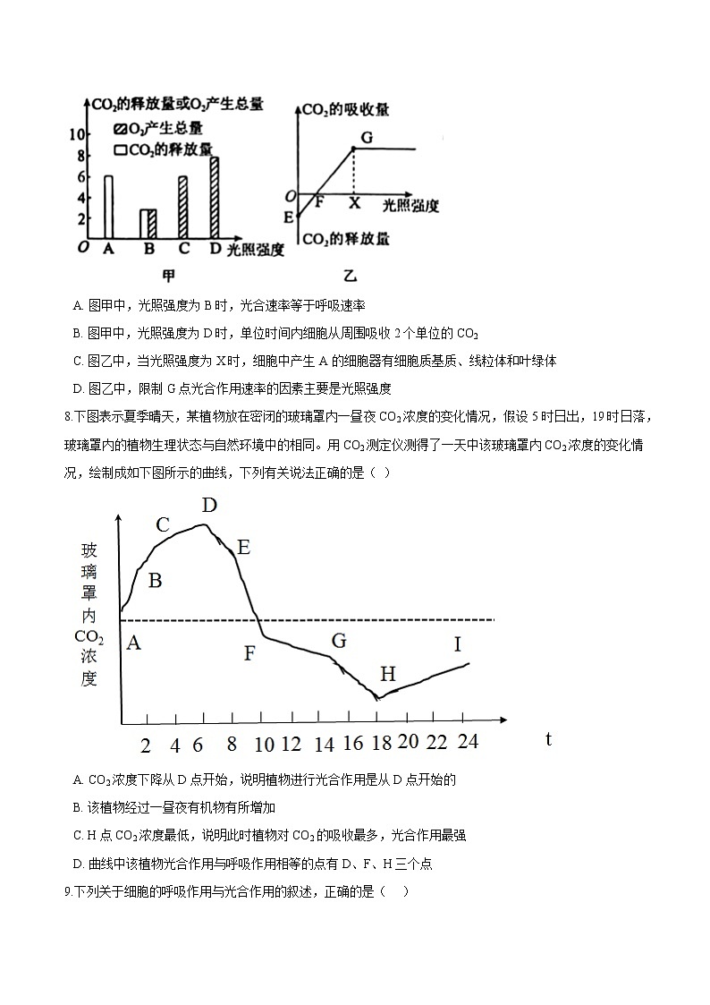 第3.4课 影响光合作用和细胞呼吸的环境因素-2021-2022学年高一生物课后培优练（苏教版2019必修1）03