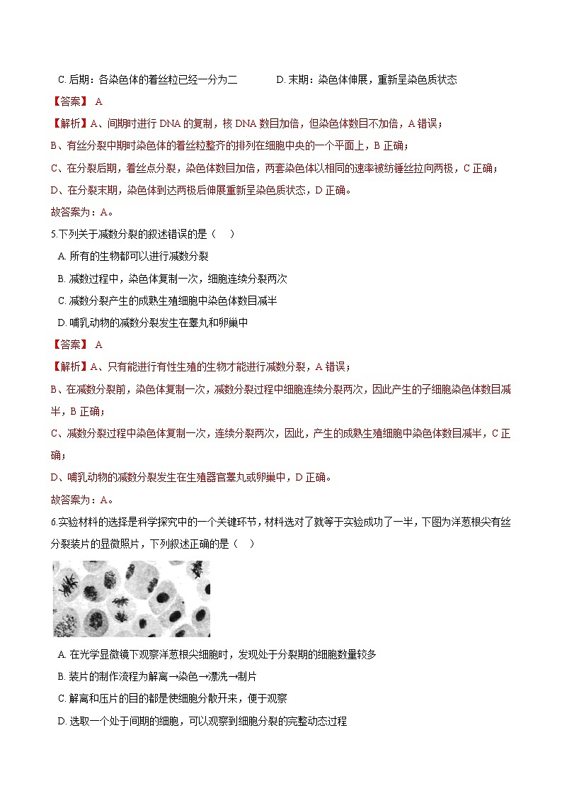 第4.1课 细胞增殖-2021-2022学年高一生物课后培优练（苏教版2019必修1）03