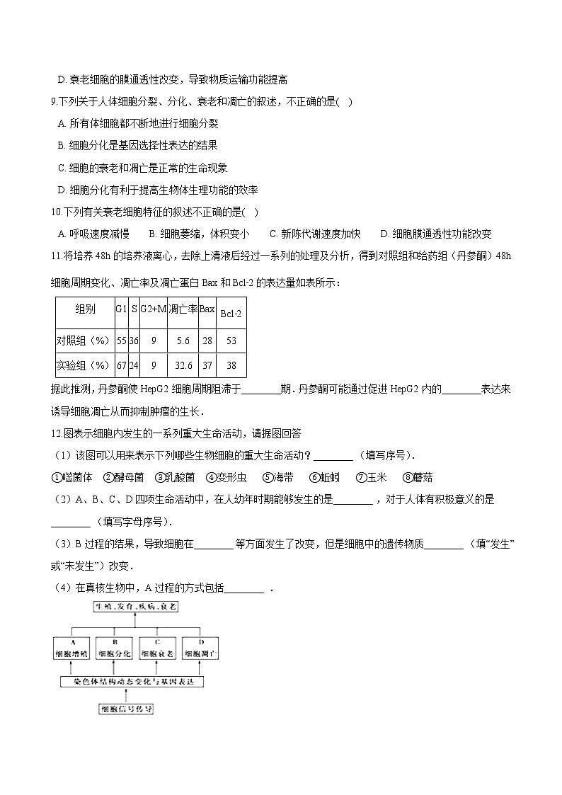 第4.2课 细胞分化、衰老和死亡-2021-2022学年高一生物课后培优练（苏教版2019必修1）03