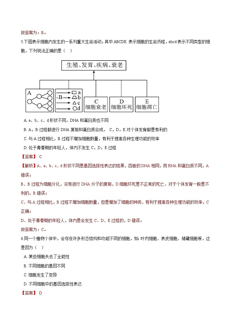 第4.2课 细胞分化、衰老和死亡-2021-2022学年高一生物课后培优练（苏教版2019必修1）03