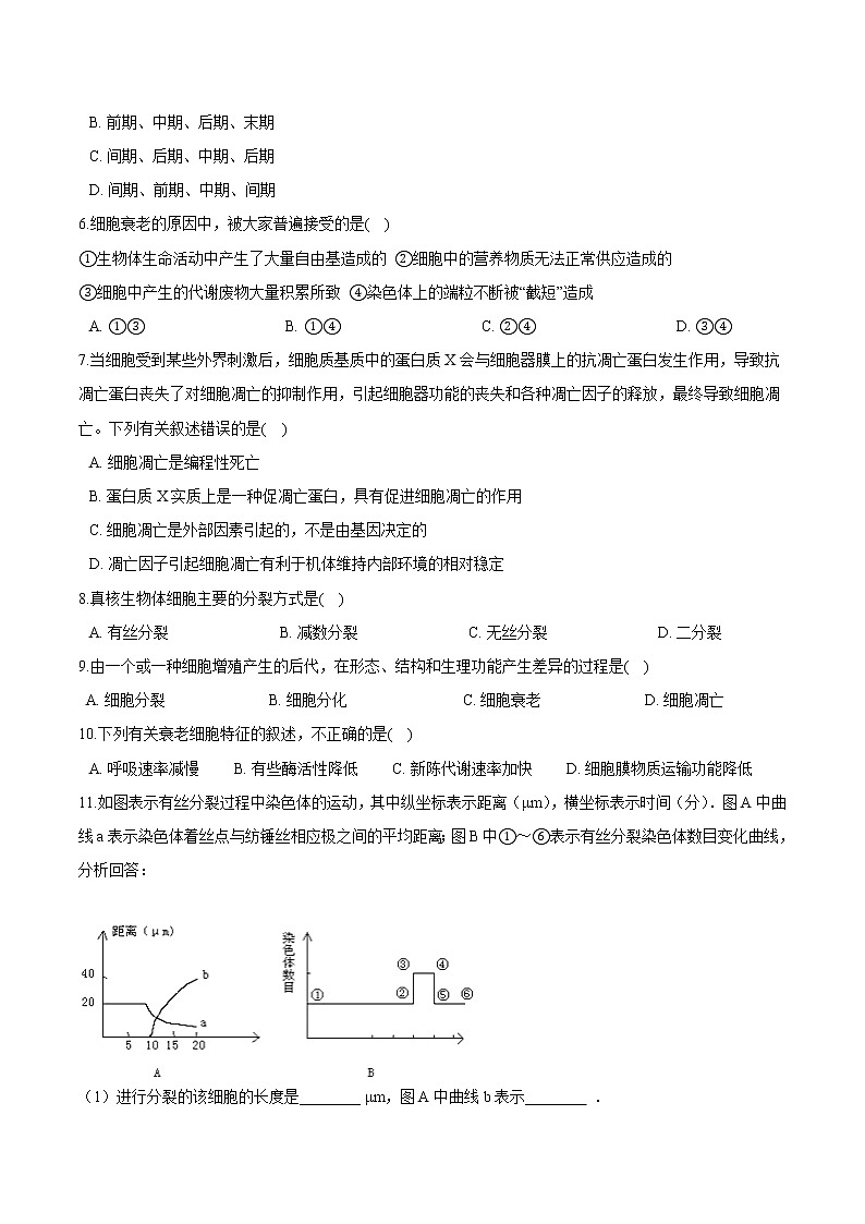 第四章 细胞增值、分化、衰老和死亡 单元检测（原卷版）-2021-2022学年高一生物课后培优练（苏教版2019必修1）第2页