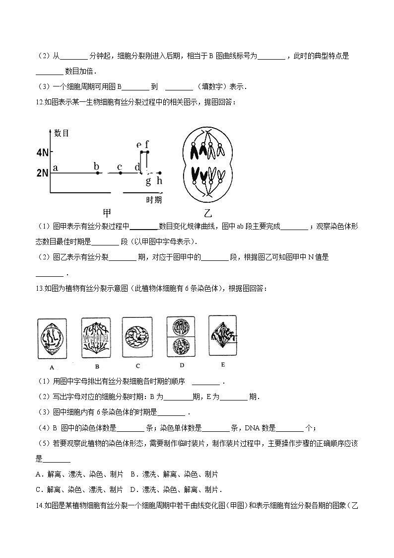 第四章 细胞增值、分化、衰老和死亡 单元检测（原卷版）-2021-2022学年高一生物课后培优练（苏教版2019必修1）第3页