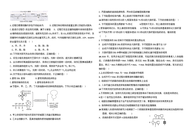青海省西宁市2021-2022学年高三上学期期末联考生物试题含答案02