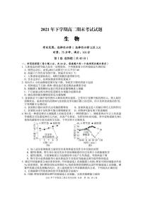 湖南省娄底市新化县2021-2022学年高二上学期期末考试生物PDF版含答案（可编辑）