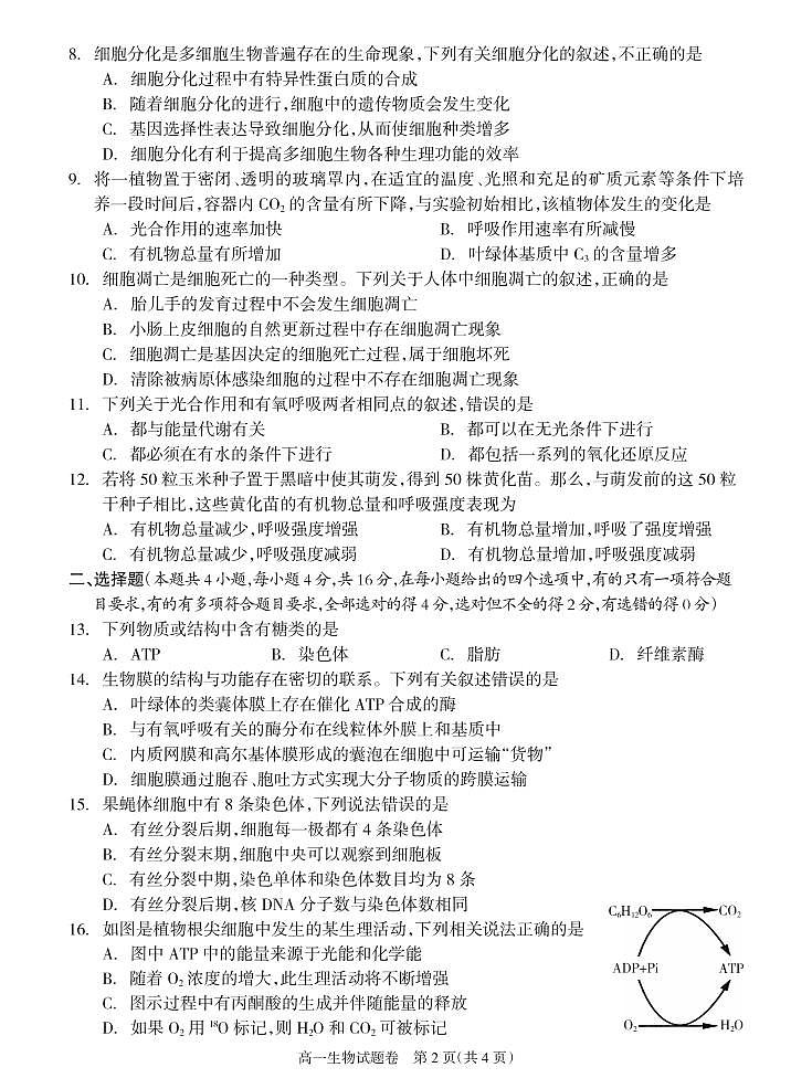 湖南省邵阳市新邵县2021-2022学年高一上学期期末质量检测生物PDF版含答案02