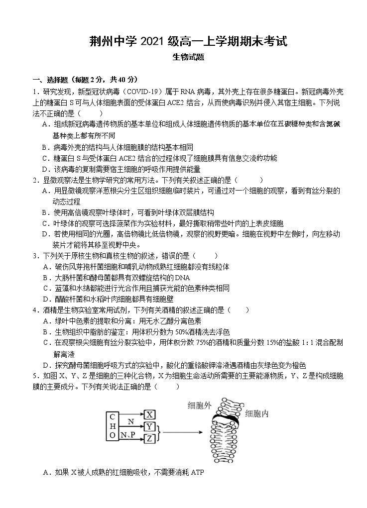 湖北省荆州中学2021-2022学年高一上学期期末考试生物无答案01