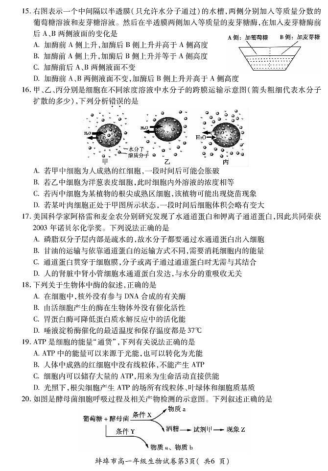 安徽省蚌埠市2021-2022学年高一上学期期末学业水平监测生物试题PDF版含答案03