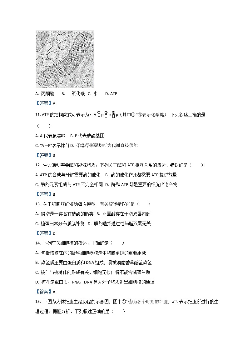 浙江省衢州市2021-2022学年高一上学期期末考试生物试题含答案03