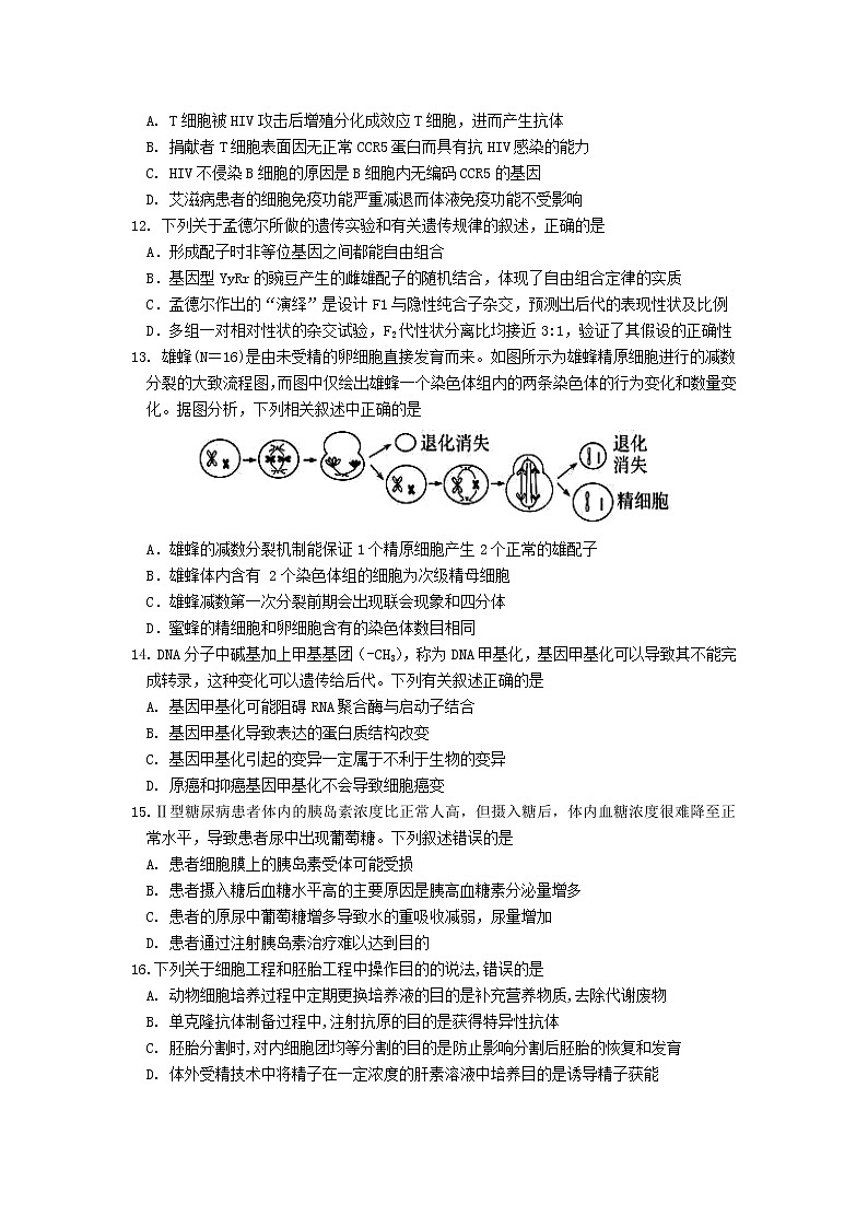 海南省海口市2021届高三下学期5月高考调研测试生物试题（二模）含答案03