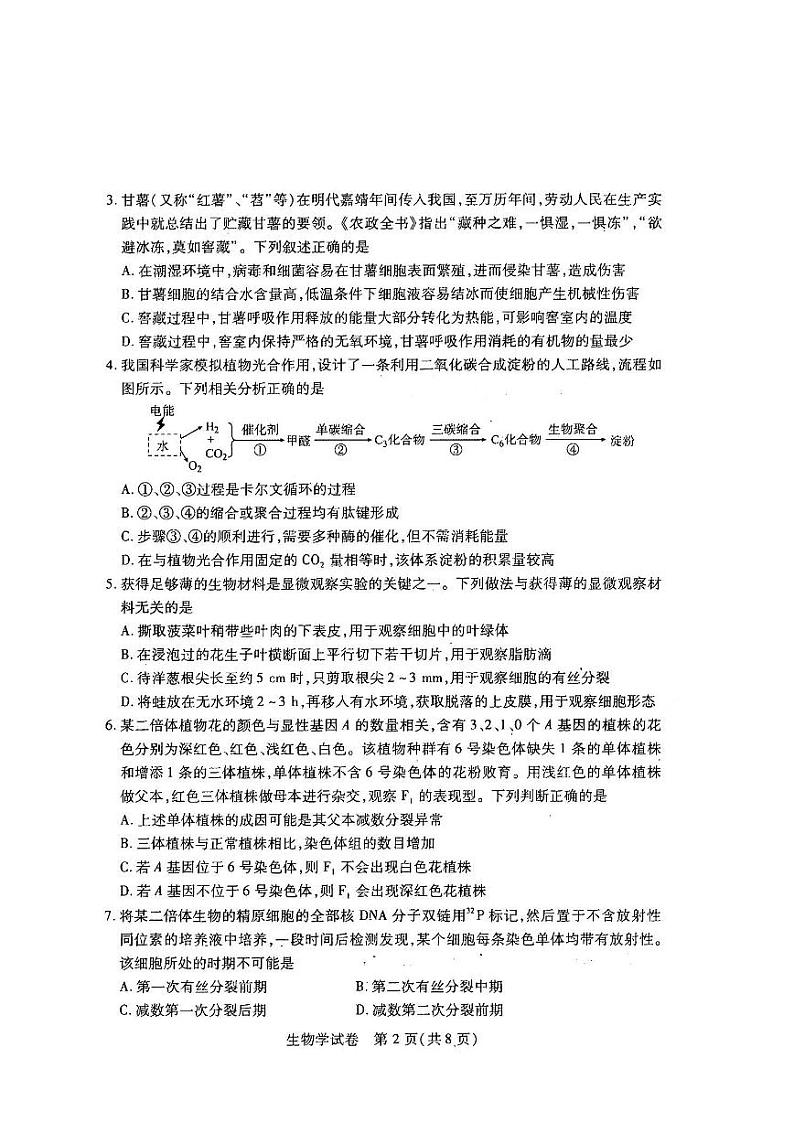 湖北省武汉市2021-2022学年高三下学期2月调研考试生物试题无答案02