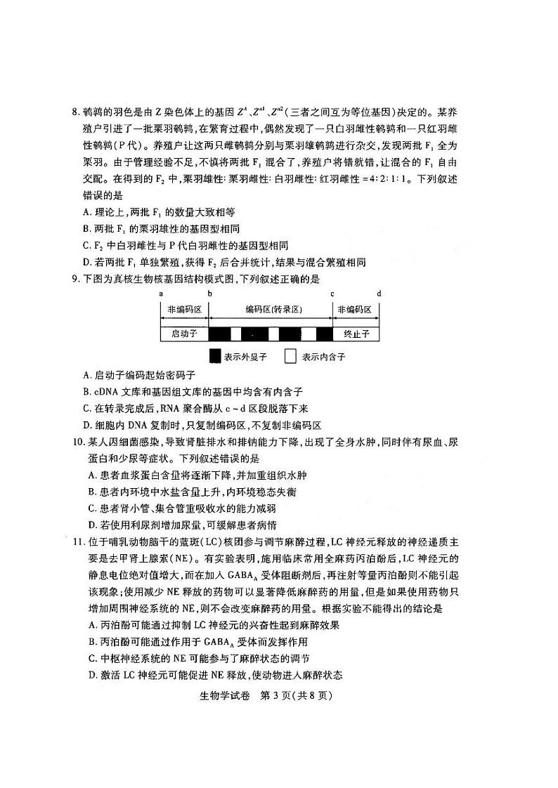 湖北省武汉市2021-2022学年高三下学期2月调研考试生物试题无答案03