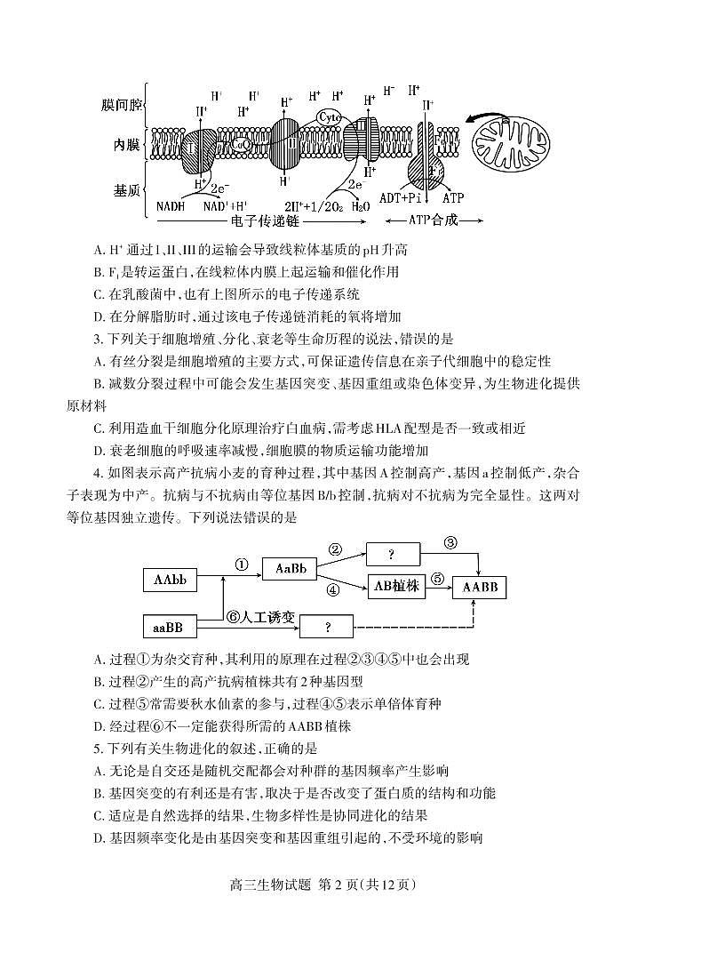 山东省泰安市2021-2022学年高三上学期期末考试生物PDF含答案02
