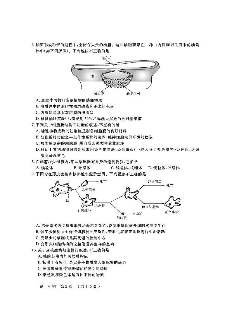 北京市怀柔区2021-2022学年高一上学期期末考试生物试题扫描版含答案02