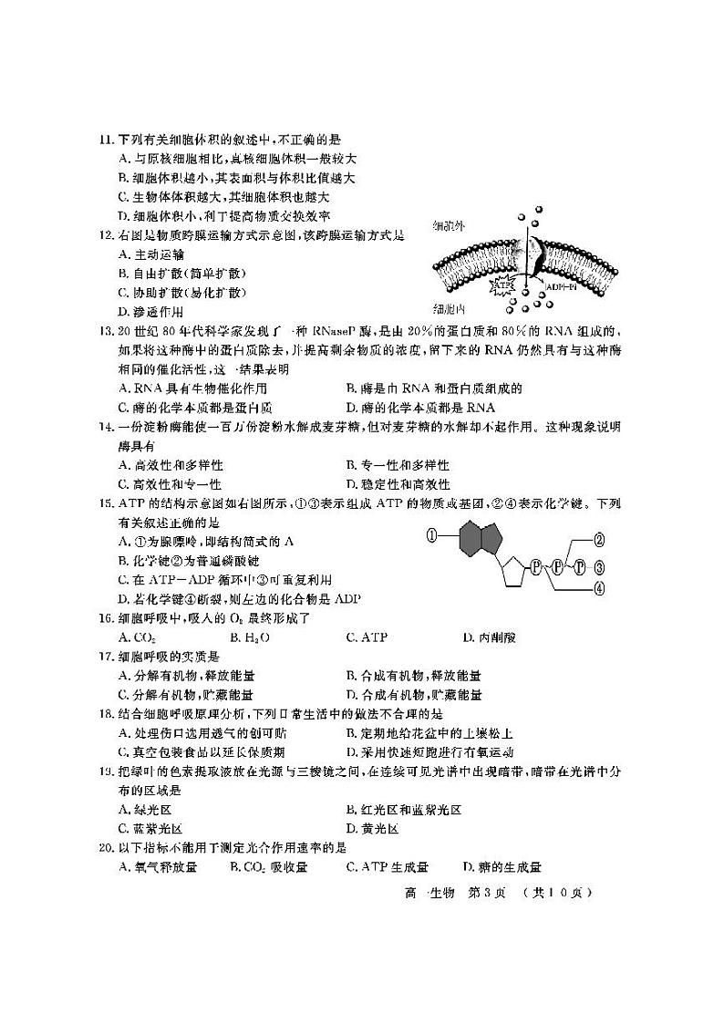北京市怀柔区2021-2022学年高一上学期期末考试生物试题扫描版含答案03