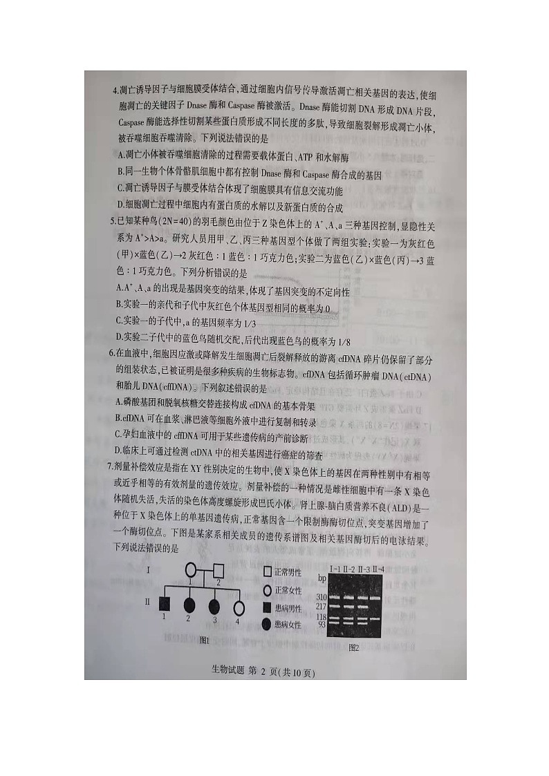 2022届山东省临沂高三一模生物试卷无答案02