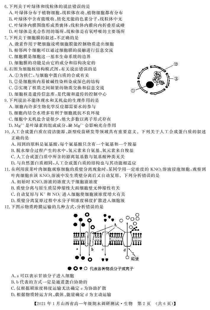 2020-2021学年山西省（晋中市）高一上学期期末调研生物试题 PDF版02