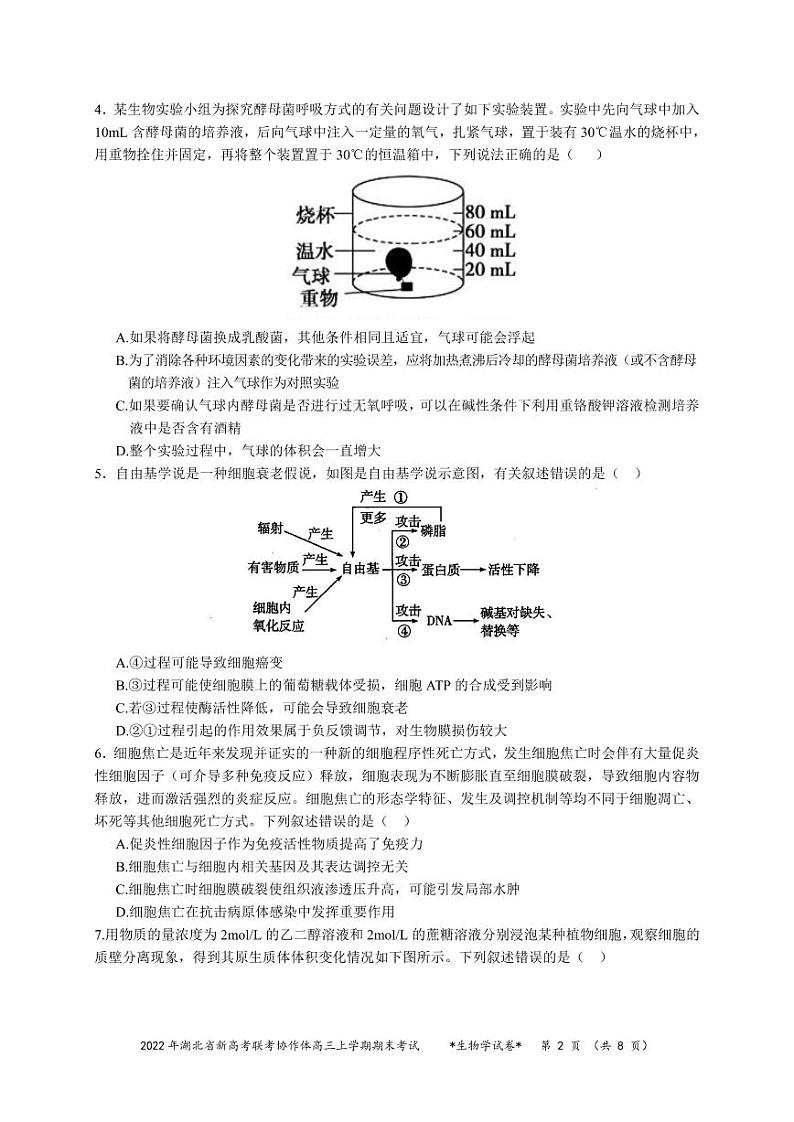 2022届湖北省新高考联考协作体高三上学期期末考试 生物 PDF版练习题02