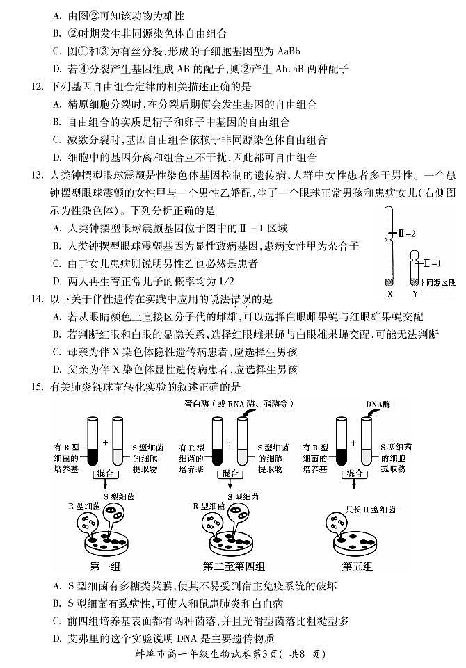 2020-2021学年安徽省蚌埠市高一下学期期末学业水平监测生物试卷 PDF版03