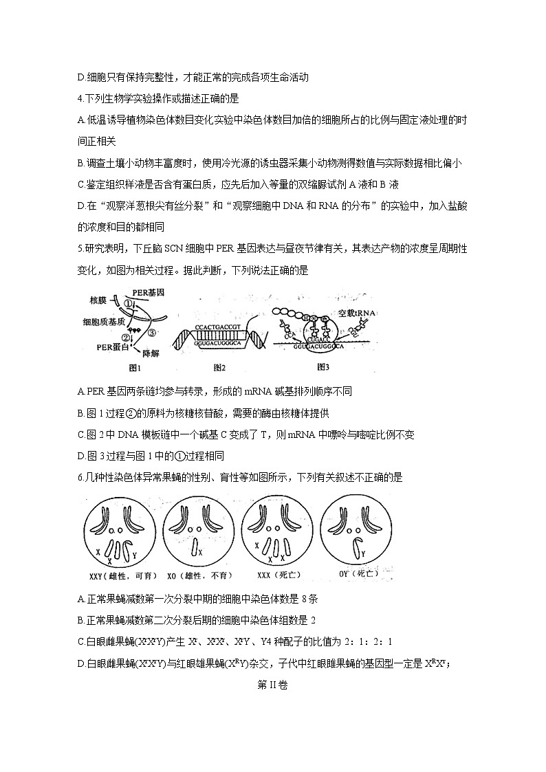 河南省六市（漯河）2020届高三第一次模拟调研试题（4月）生物试卷含答案第2页