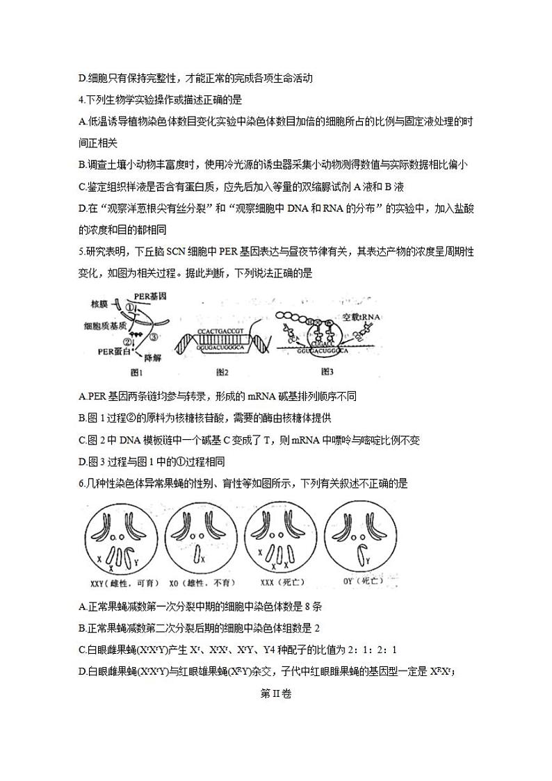 河南省六市（南阳）2020届高三第一次模拟调研试题（4月）生物试卷含答案第2页