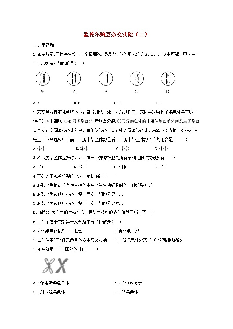 高中生物暑假作业02孟德尔的豌豆杂交实验二能力提升含解析第1页