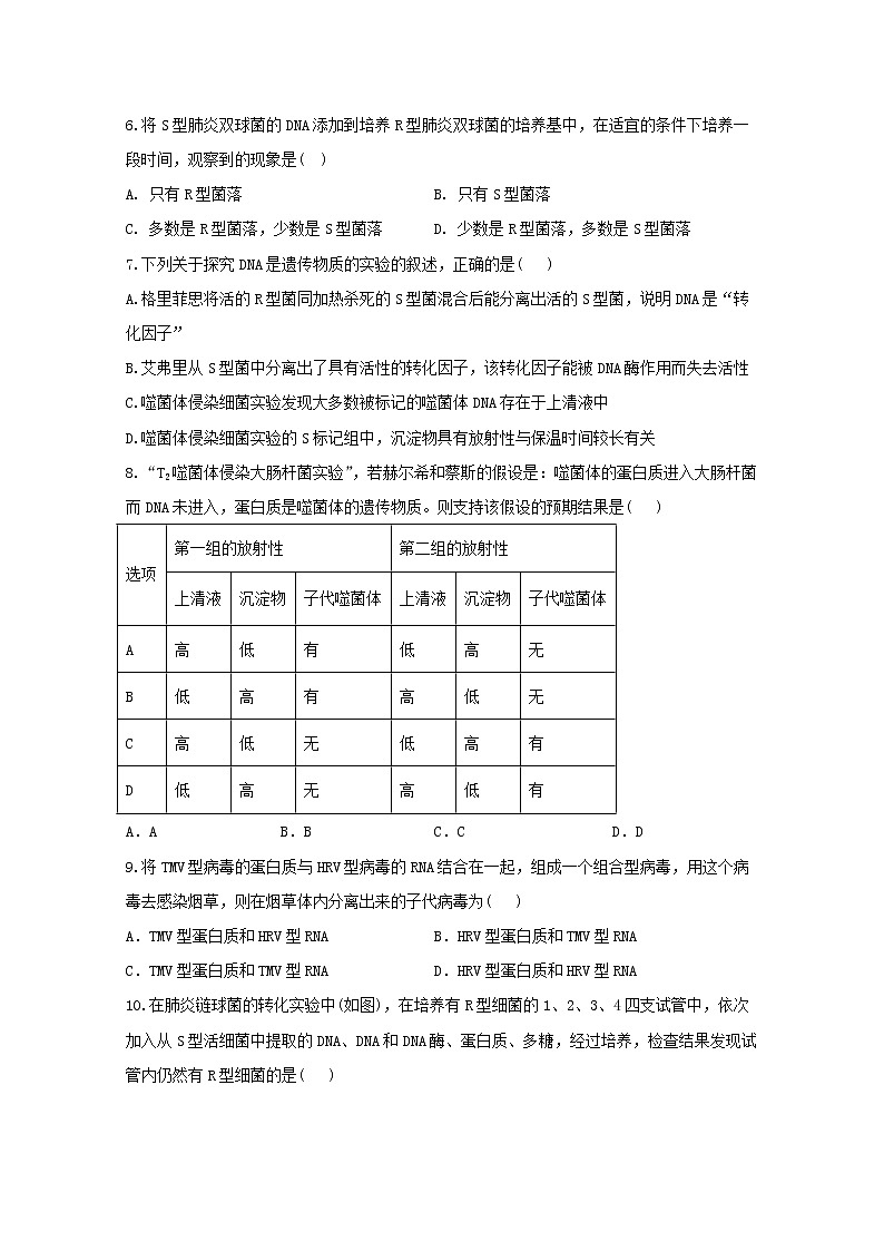 高中生物暑假作业06DNA是主要的遗传物质能力提升含解析 练习02