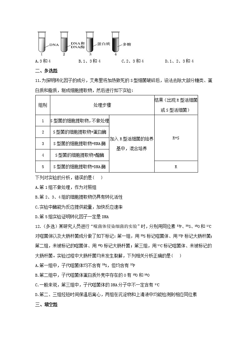 高中生物暑假作业06DNA是主要的遗传物质能力提升含解析 练习03