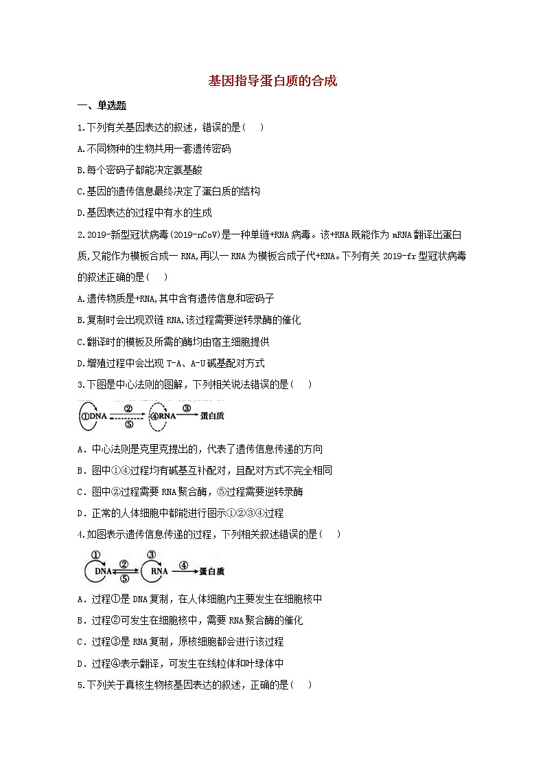 高中生物暑假作业10基因指导蛋白质的合成能力提升含解析第1页
