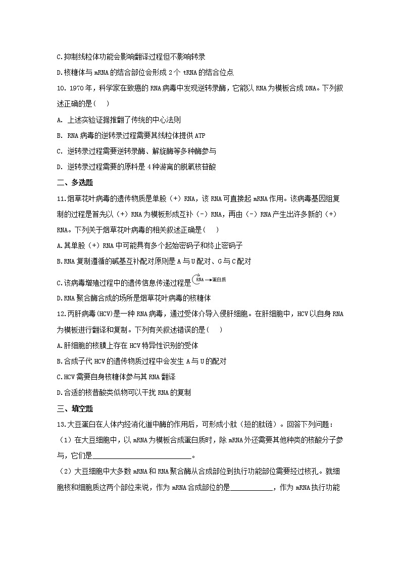 高中生物暑假作业10基因指导蛋白质的合成能力提升含解析第3页