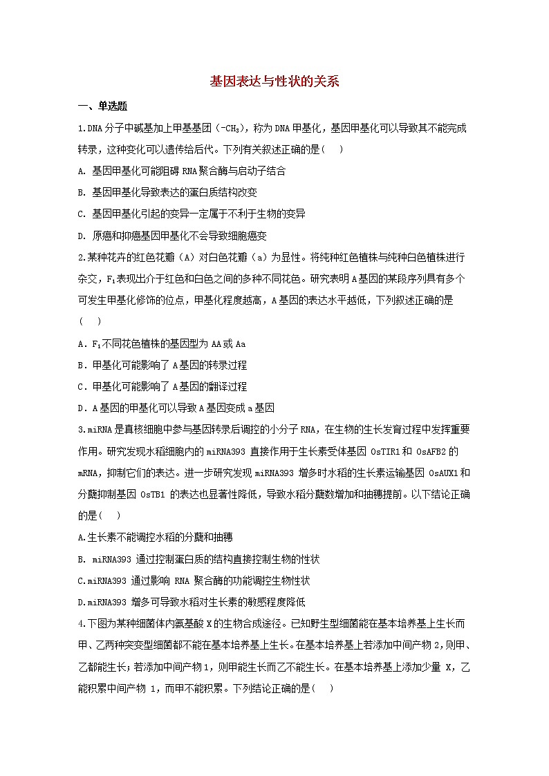 高中生物暑假作业11基因表达与性状的关系能力提升含解析第1页
