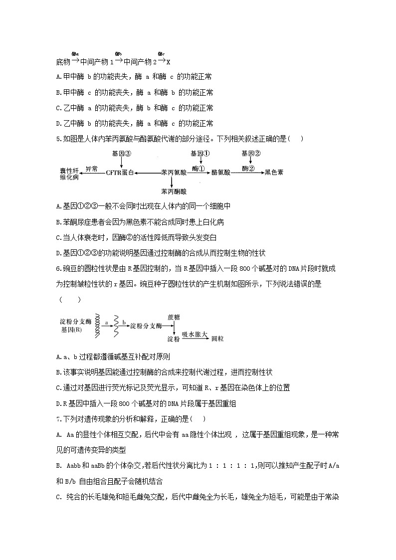 高中生物暑假作业11基因表达与性状的关系能力提升含解析第2页