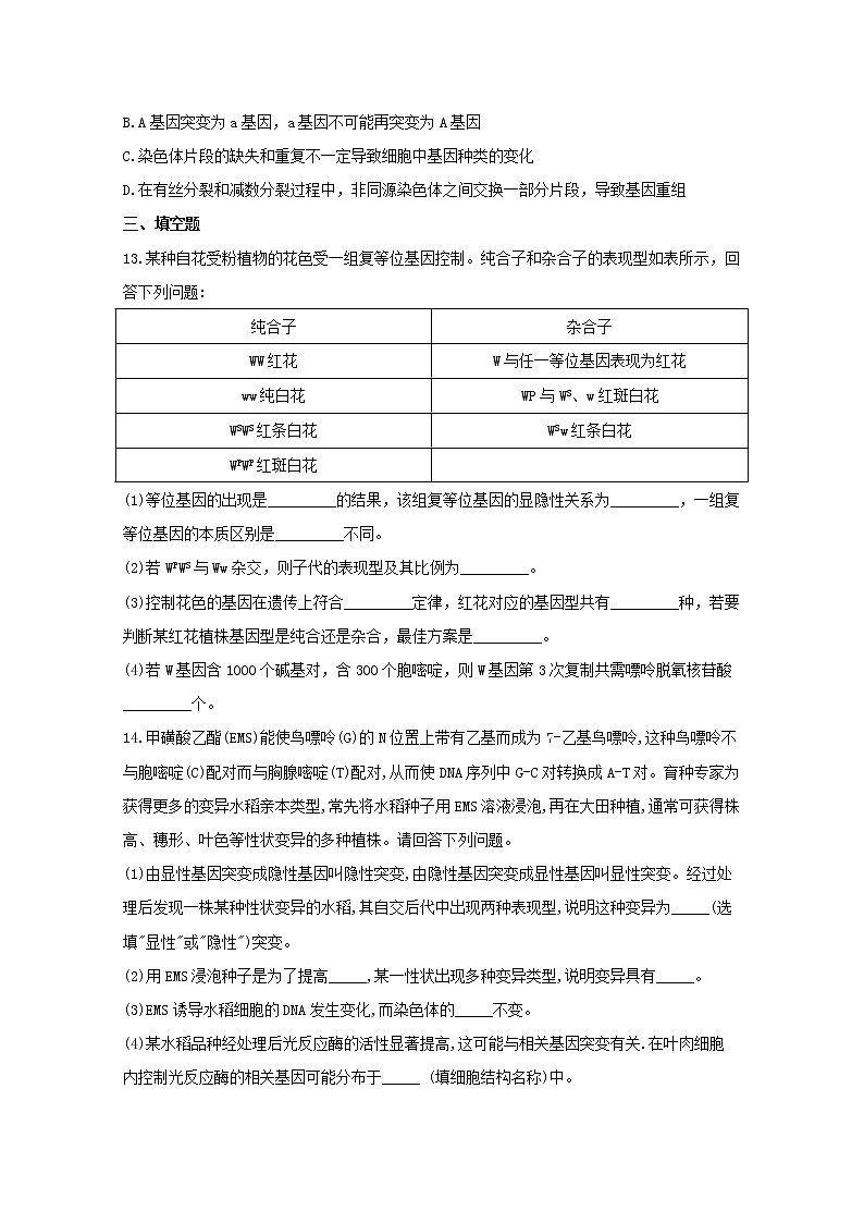 高中生物暑假作业12基因突变和基因重组能力提升含解析第3页