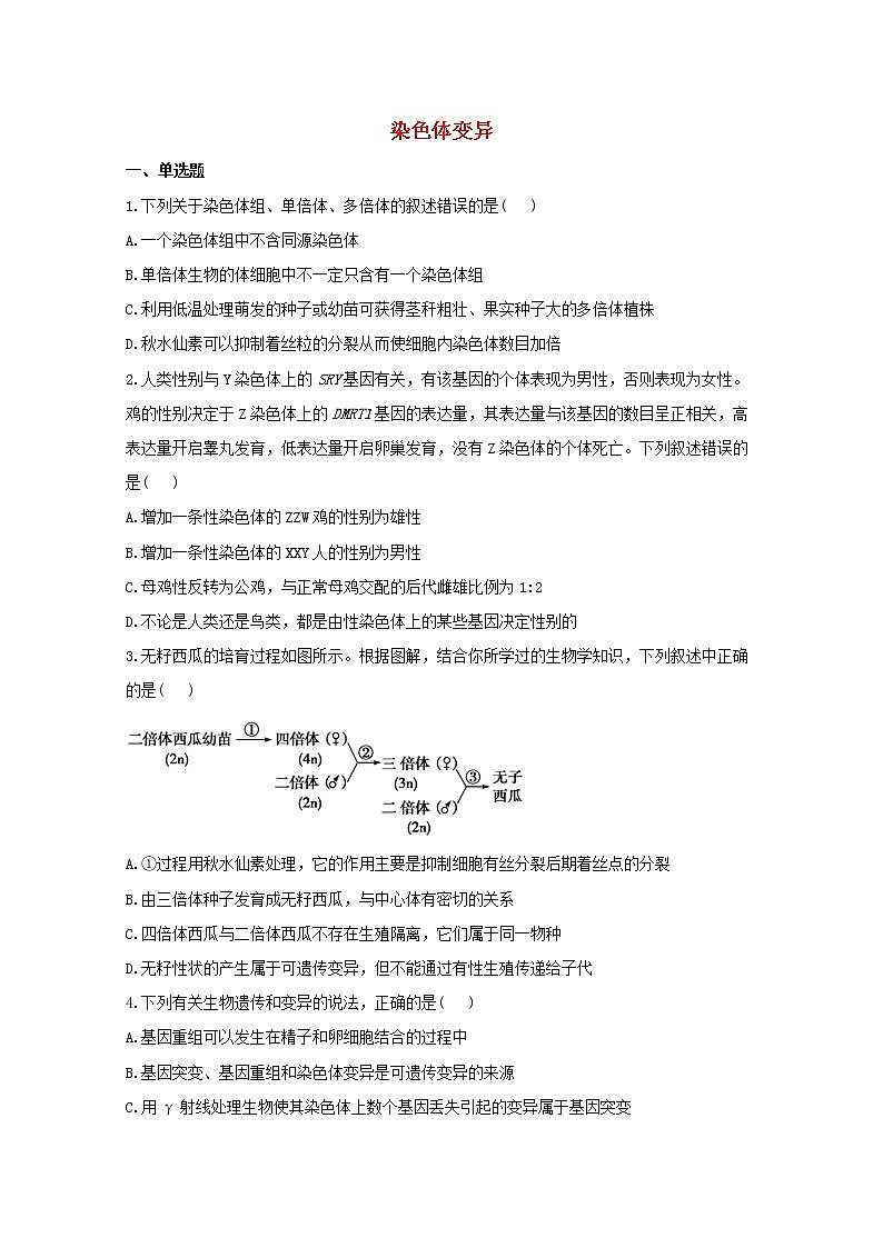 高中生物暑假作业13染色体变异能力提升含解析 练习01