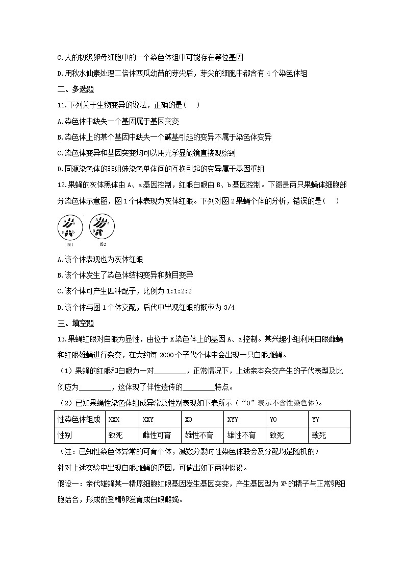 高中生物暑假作业13染色体变异能力提升含解析 练习03