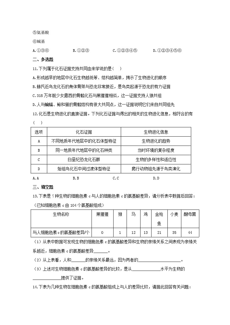 高中生物暑假作业15生物有共同祖先的证据能力提升含解析 练习03
