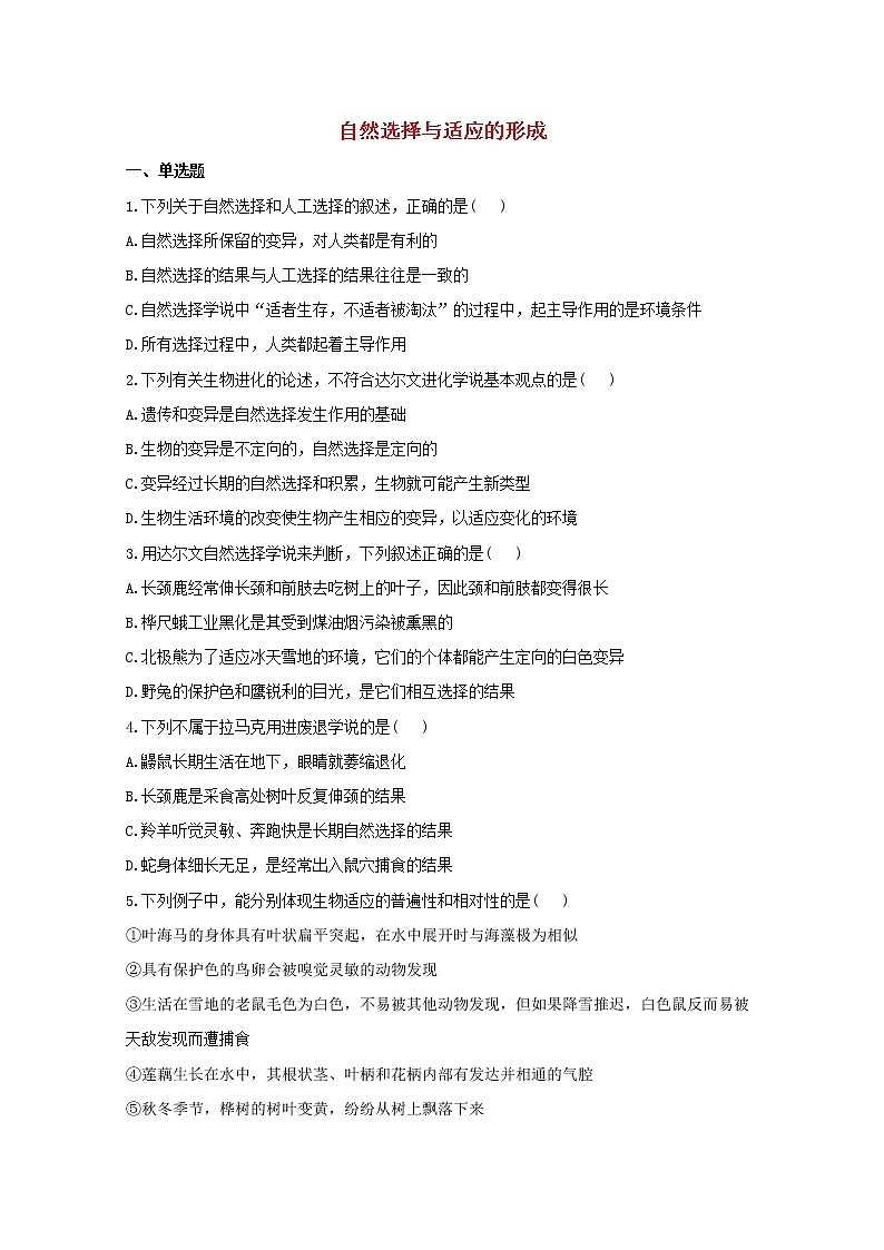 高中生物暑假作业16自然选择与适应的形成能力提升含解析 练习01