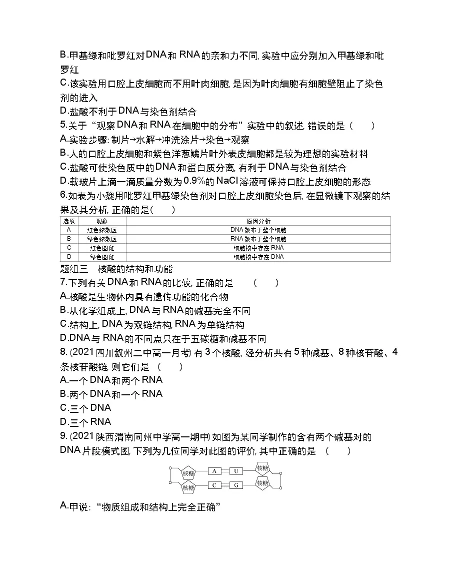 第3节遗传信息的携带者--核酸-2022版生物必修1 人教版（新课标） 同步练习 （Word含解析）第2页