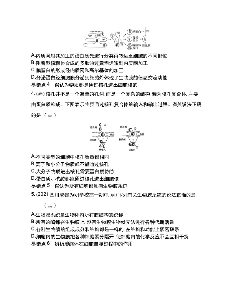 第三章复习提升-2022版生物必修1 人教版（新课标） 同步练习 （Word含解析）02
